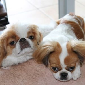 Meet your Posher, Kathleen